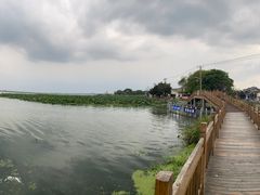 -渔娘蟹庄(阳澄湖莲花岛店)