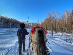 -亚布力新体委滑雪场