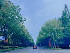 -上海长兴岛郊野公园