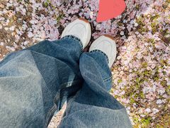 -天王浮山樱花园