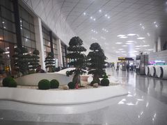 -郑州新郑国际机场-T2航站楼