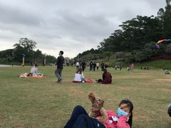 -云溪植物园