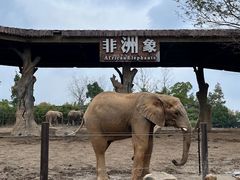 -上海野生动物园