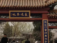 -桃花堤公园