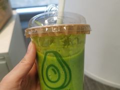 -油梨树AVOCADO TREE(望京店)