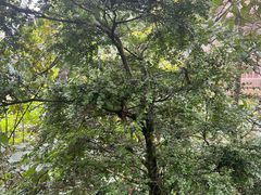 -天燕原始生态旅游区-天门垭景区