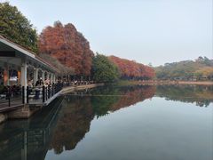 -鹿鸣酒家(越秀店)
