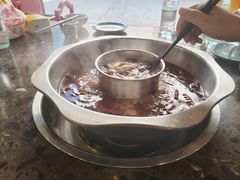 -金鼎雪山牦牛杂火锅(理县总店)