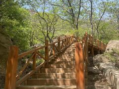 -大岭沟猕猴桃谷风景区