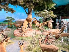 -国家自然博物馆