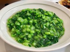 青菜钵-金熊猫川菜餐厅