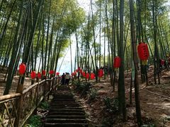 -宁波浙东大竹海景区