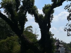 -岳麓山风景名胜区