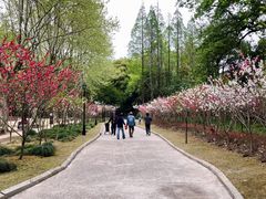 -上海市龙华烈士陵园