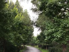 -东郊湿地公园