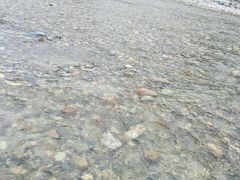 -虹口漂流