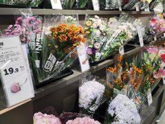 -鹿岛会员店(熙地港店)