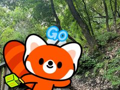 -帽儿山国家森林公园