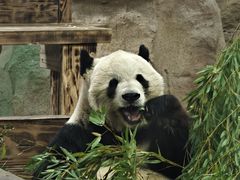 -无锡动物园·太湖欢乐园
