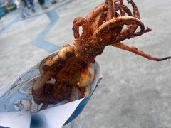 -上海海昌海洋公园