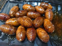 -丹东丛炟海鲜烧烤(江艺路店)