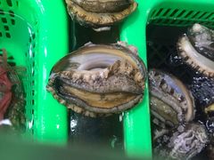 鲍鱼-都斛海鲜街
