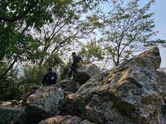 -紫金山山顶公园