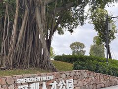 -深圳人才公园
