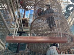 点击看大图 -PIPIKINGDOM皮皮王国欢乐号(欢乐海岸购物中心店)