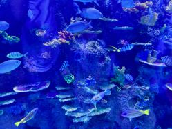 -Zoolung Zoolung动物主题公园(海信广场店)