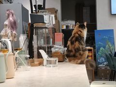 -玫瑰咖啡(中山六路店)