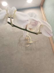 点击看大图 -姜美堂·蒸姜除湿の纤体美颜馆