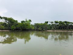 -东寨港红树林旅游区