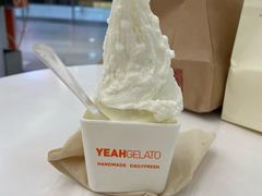 -野人先生现做冰淇淋(北京环宇荟店)