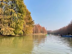 -上海海湾国家森林公园