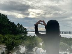 -宝安西湾红树林湿地公园