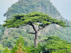 -圣莲山风景区
