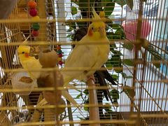 -潇湘·永州会馆(百子湾店)