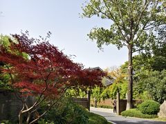 -新荣记(西溪湿地店)