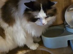 -白兔子密室(长寿路店)