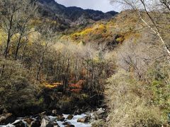 -叠溪松坪沟景区