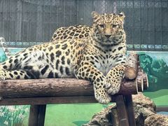 -昆明动物园