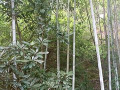 -故乡缘·香格里拉山庄(冷竹路店)
