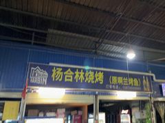 -杨合林啊兰烤鱼