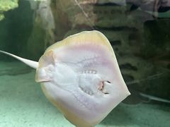 -珠海长隆海洋王国