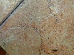 小强-四娭毑(三王街店)