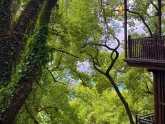 -全季酒店(重庆上清寺牛角沱地铁站店)