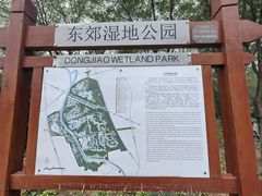 -东郊湿地公园