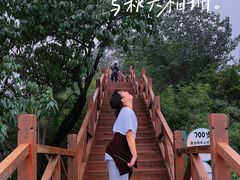 -大岭沟猕猴桃谷风景区