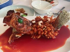 松鼠鳜鱼-松鹤楼·非遗·苏帮菜(融科店)